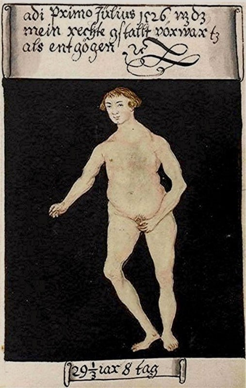 Matthäus Schwarz Aged 29 1/3, 8 days - On 1st July 1526 that was my real naked figure - Bibliothèque Nationale, Paris